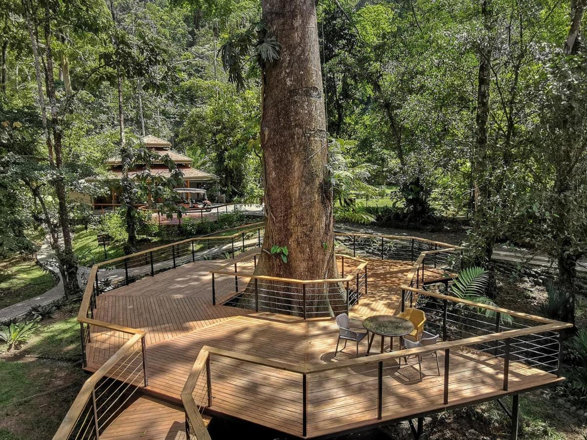 Pacuare Lodge By Boeena Limon Экстерьер фото